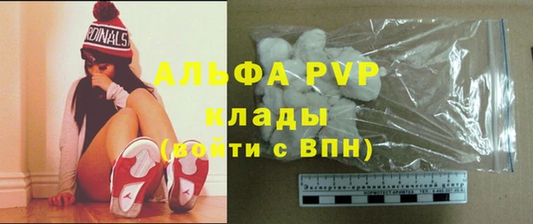 СК Белокуриха
