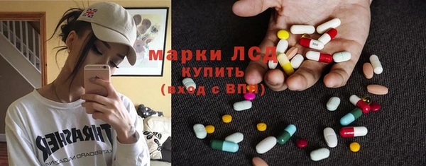 СК Белокуриха