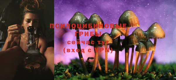СК Белокуриха