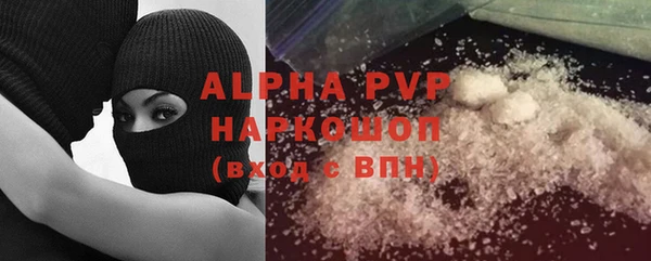 СК Белокуриха